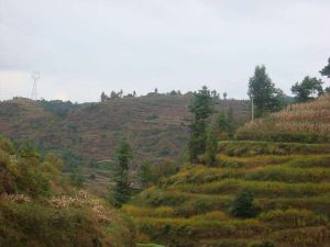轉腦包村 轉腦包村