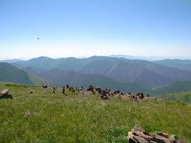 楊木柵子鄉 楊木柵子鄉