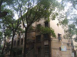 樹木嶺社區 樹木嶺社區