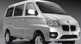 金杯海星 金杯海星