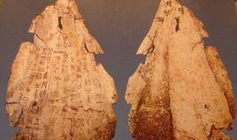 甲骨文體 甲骨文體