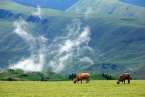 喀拉峻草原 喀拉峻草原