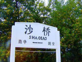 沙橋站