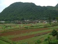 白沙坡村 白沙坡村