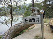 南澳黃花山森林公園