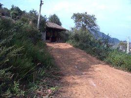 躲牛窩坡村 躲牛窩坡村