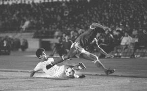 5·19事件 5·19事件