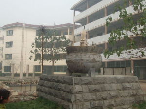 汾陽中學 汾陽中學