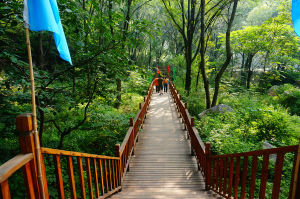 松山國家級自然保護區