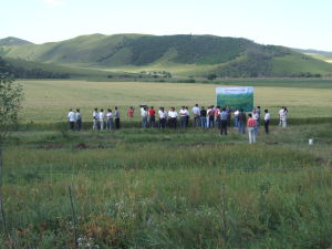 公主陵牧場 公主陵牧場