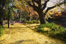 東京[越南古地名]