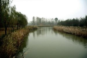 東明黃河濕地公園 東明黃河濕地公園