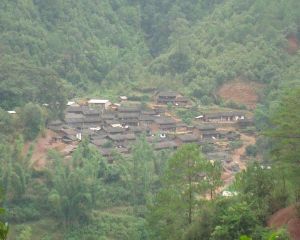 刀家寨自然村 刀家寨自然村