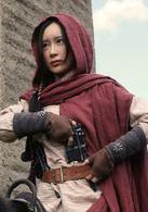 暴風驟雨[2015年何濤執導電視劇]