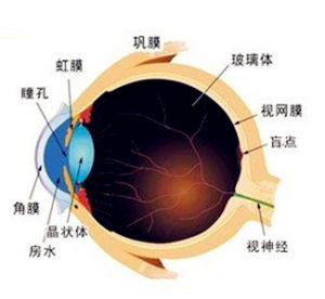 近視眼雷射手術