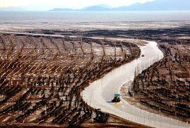 海帶養殖 海帶養殖