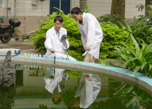 廣東省微生物研究所環境微生物研究發展中心