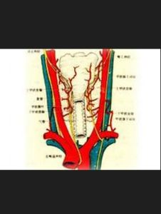 慢性甲狀腺炎 慢性甲狀腺炎