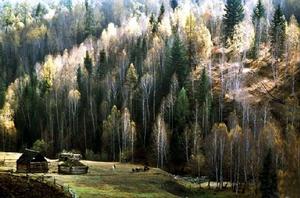 喀納斯湖畔圖瓦村