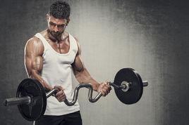 槓鈴彎舉 槓鈴彎舉