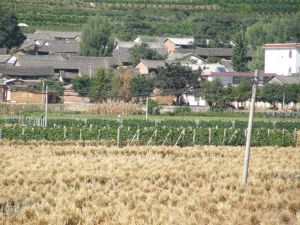 小喬甸村 小喬甸村