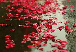 視覺意象構成 視覺意象構成