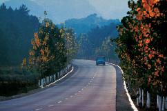 107線國道 107線國道