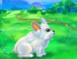 我的小兔子 我的小兔子