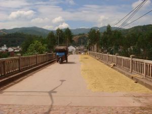 西樹龍村 西樹龍村