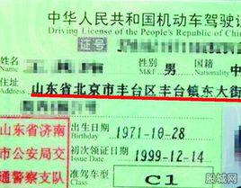 最牛駕照 最牛駕照
