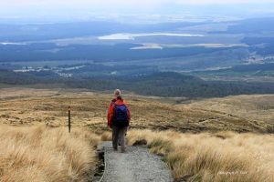 湯加里羅北環形步行道 湯加里羅北環形步行道