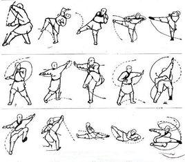 醉八仙拳[拳術]