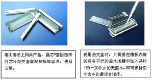 （圖）雜交行銷