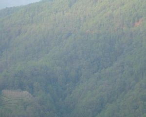 上鐵村自然村 上鐵村自然村