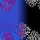 生命遊戲定律 生命遊戲定律