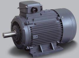 同步感應電動機 同步感應電動機