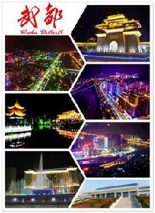 武都[甘肅省隴南市武都區]