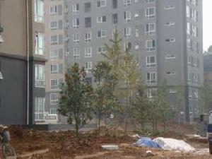 鑫龍天然居二期 鑫龍天然居二期