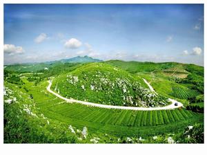 雲台山[湖南省安化縣雲台山]