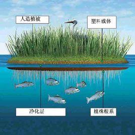 人造濕地 人造濕地
