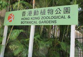香港動植物公園 香港動植物公園