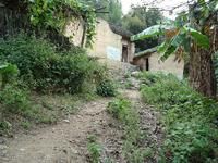 老楊自然村村內道路衛生