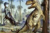 達瑪拉龍 達瑪拉龍