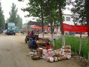 河南省南陽市宛城區金華鄉(圖2)