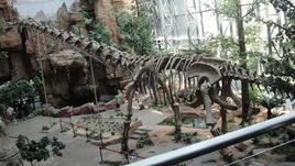 大夏巨龍 大夏巨龍