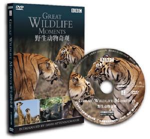 BBC紀錄片《野生動物奇觀》泰盛六區版實物示意圖