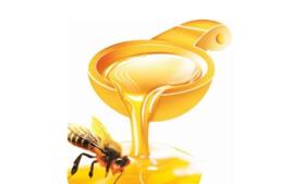 韓國BOA減肥晚餐