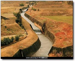 2009攝影獲獎作品