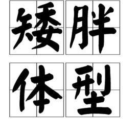 矮胖體型 矮胖體型