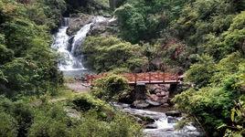 七里鄉[吉林舒蘭市七里鄉]